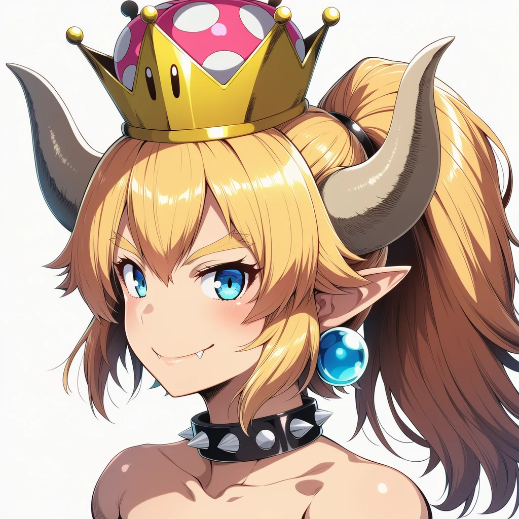クッパ姫のカバー画像