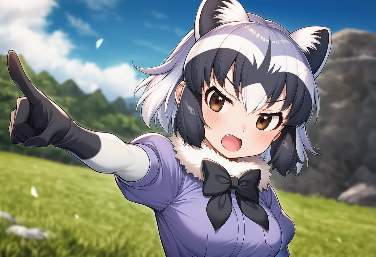 アライグマのシリアスカット