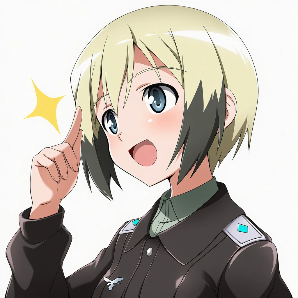 エーリカ・ハルトマンのカバー画像