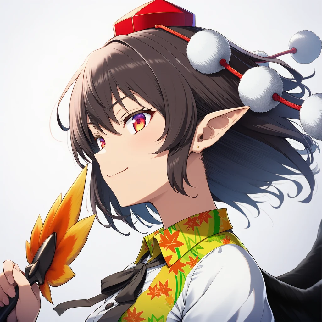 射命丸文のカバー画像